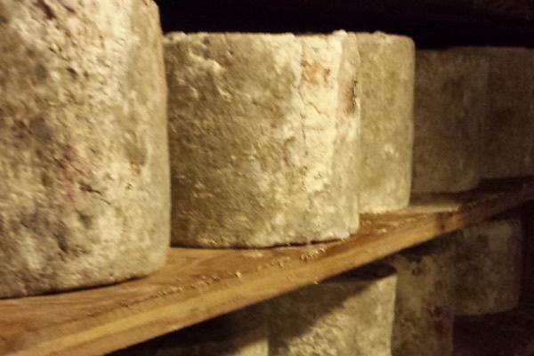 Housemade cheese aging to perfection.